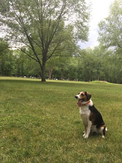 River Oaks County Park - Galesburg,