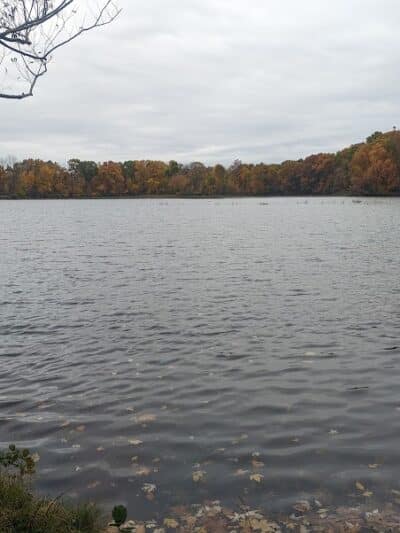 River Oaks County Park - Galesburg,
