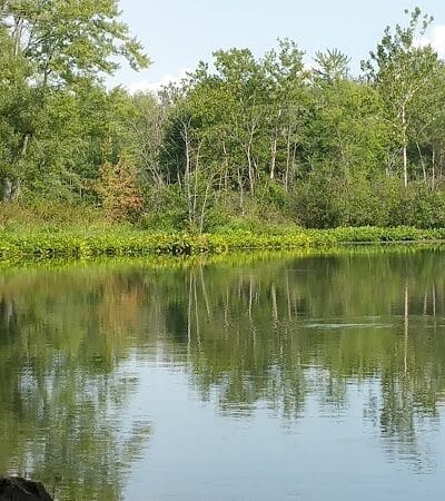 River Oaks County Park - Galesburg,