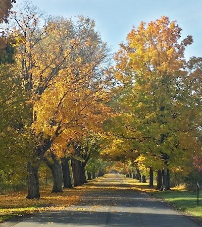River Oaks County Park - Galesburg,
