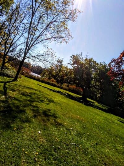 River Oaks County Park - Galesburg,
