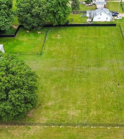 The Puppy Playground - Galesburg,