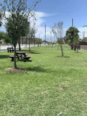 Gus Allen Sr. Park