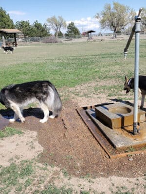 Garden City Dog Park
