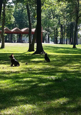Garden City Parks
