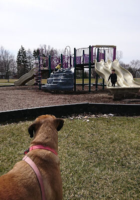 Rotary Park
