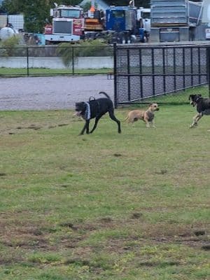 Pulaski Playground & Dog Park - Gardner, MA