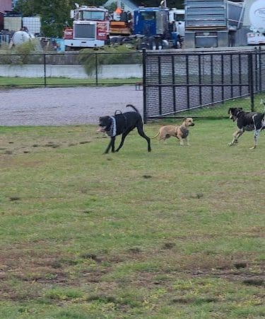 Pulaski Playground & Dog Park