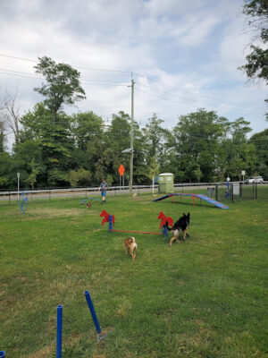 Elmwood Park Dog Park