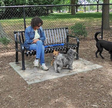 North Garner Dog Park