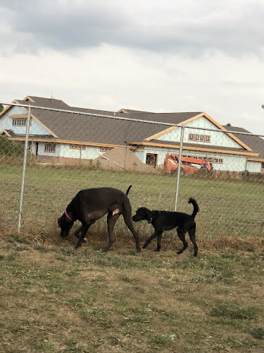 Otsego County Dog Park