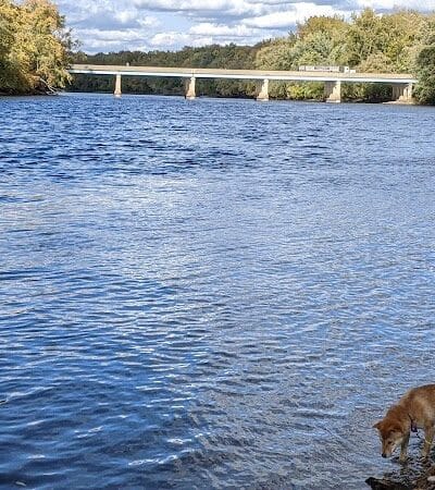Georgetown Trails - Georgetown Township,