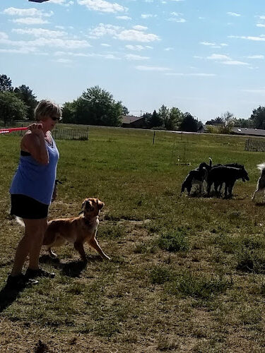 Monument Dog Park