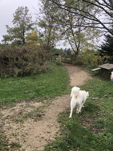 Homestead Howl Dog Park