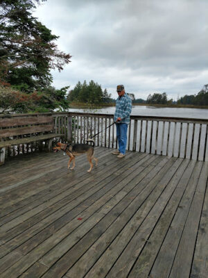 Seney National Wildlife Refuge - Main Unit