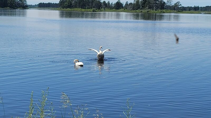 Seney National Wildlife Refuge - Main Unit - Germfask,