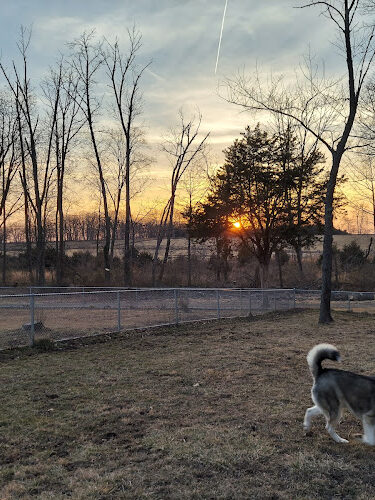 Dog Park