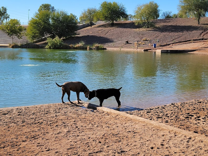 Cosmo Dog Park - Gilbert, AZ