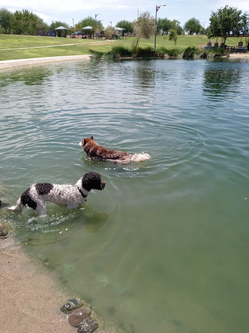 Cosmo Dog Park - Gilbert, AZ