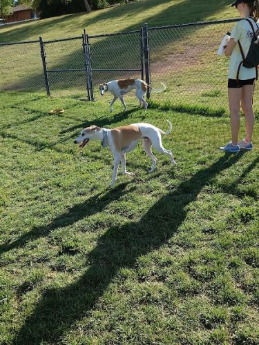 Cosmo Dog Park