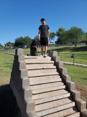 Cosmo Dog Park