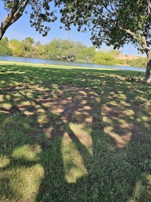 Dog Park at Crossroads