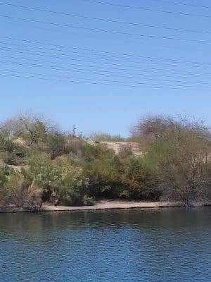 Dog Park at Crossroads