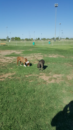 Dog Park at Crossroads