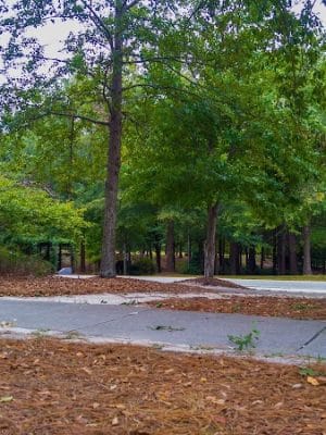 Gilbert Community Park