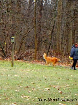 Smith Road Park
