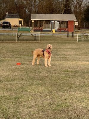 Swamp Creek Park