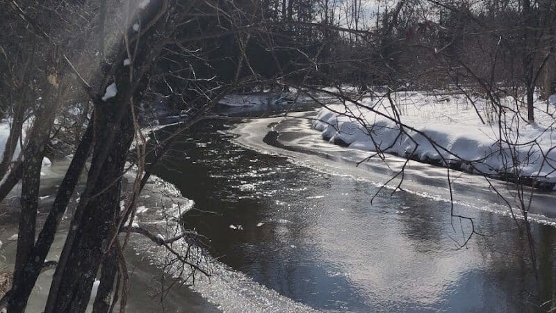 Gladwin County Recreation Area - Gladwin, MI