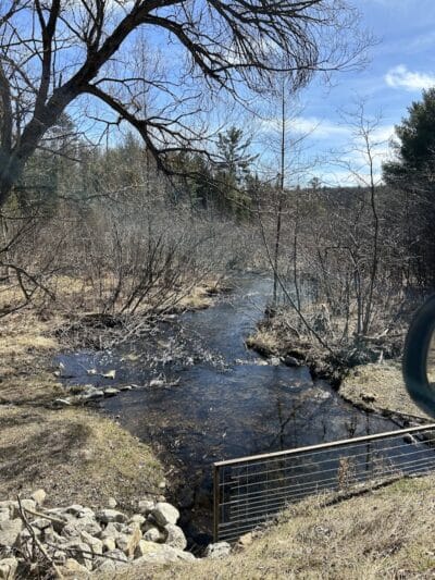 Gladwin County Recreation Area - Gladwin, MI