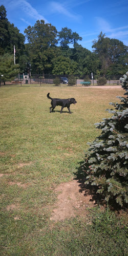 Dennis Brian Murray Dog Park