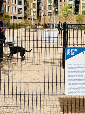 Garvies Point Dog Park