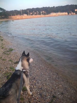 Mercadante Beach