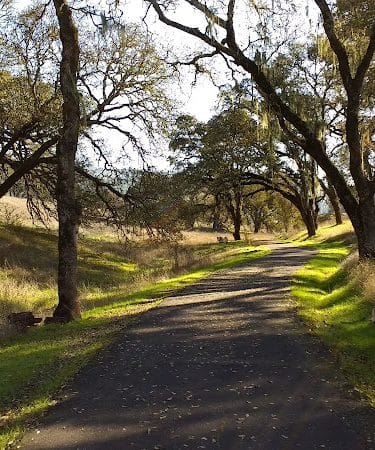 Sonoma Valley Regional Park