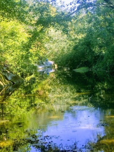 Sonoma Valley Regional Park - Glen Ellen, CA
