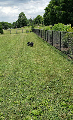 Concord Dog Park