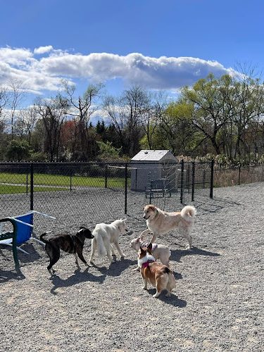 Glen Rock NJ Dog Park