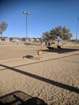 Foothills Dog Park