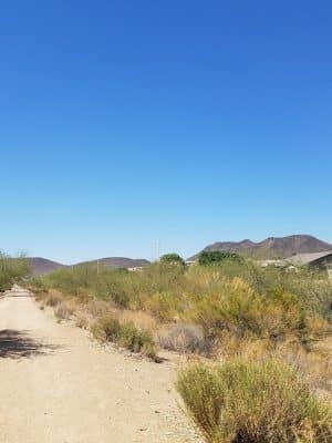 Foothills Dog Park