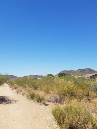 Foothills Dog Park