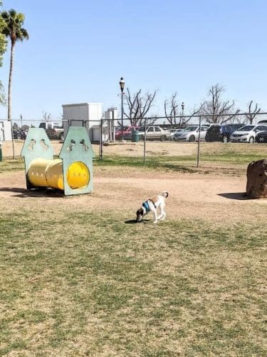 Sahuaro Ranch Dog Park