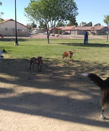 Sahuaro Ranch Dog Park