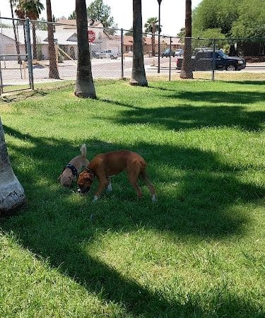 Sahuaro Ranch Dog Park