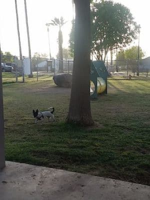 Sahuaro Ranch Dog Park