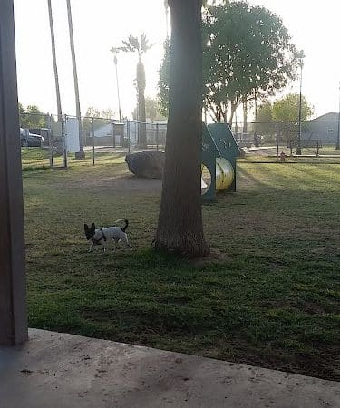 Sahuaro Ranch Dog Park