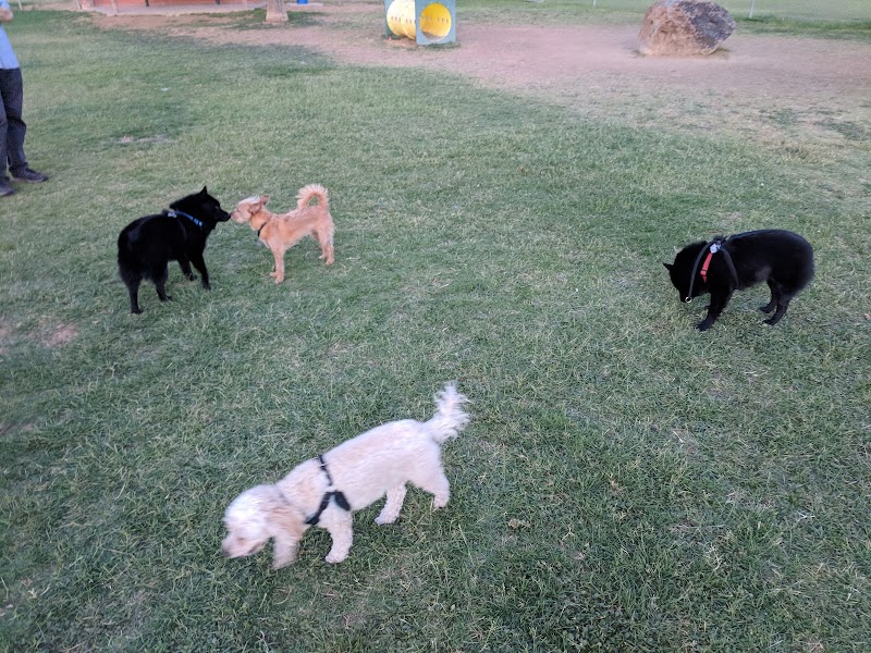 Sahuaro Ranch Dog Park - Glendale, AZ