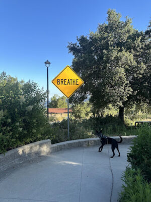 Deukmejian Wilderness Park